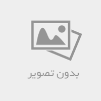 مهره مار